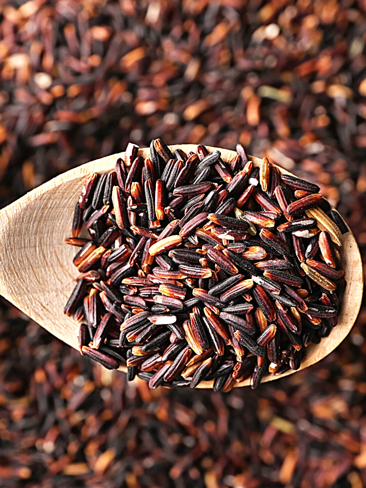 Wild rice grains on a wooden spoon.