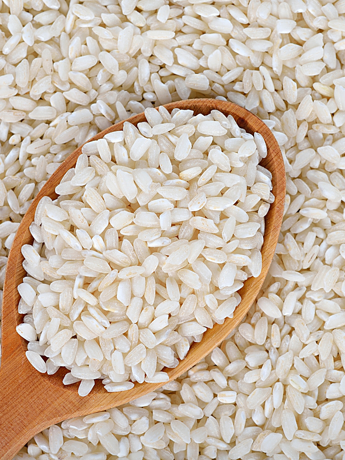 Bomba Rice Vs Arborio