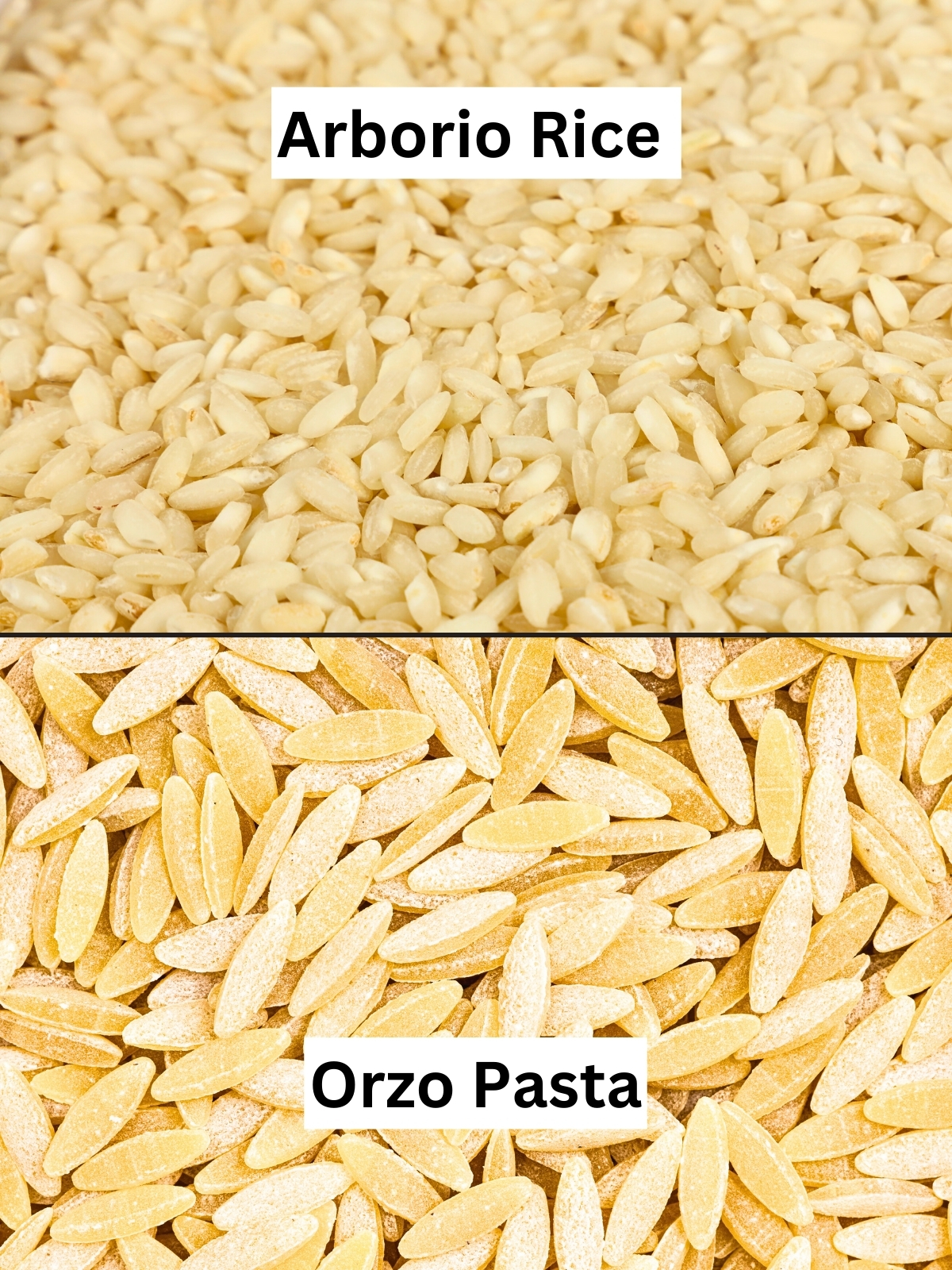 Arborio rice shown next to orzo pasta for comparison.