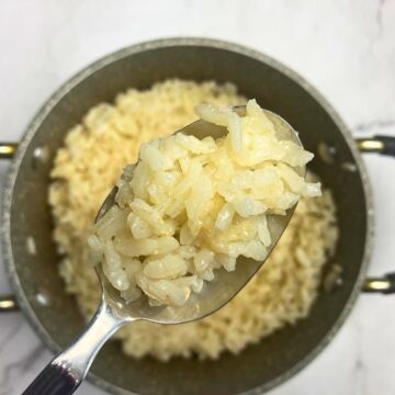 Spoon full of cooked Arborio rice.