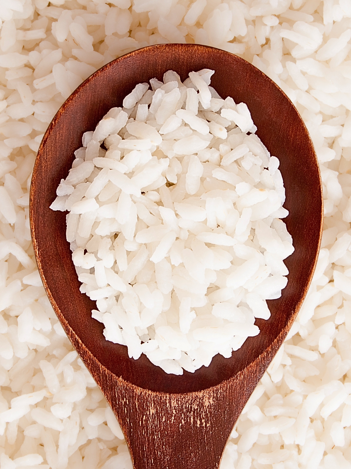 Wooden spoon with cooked Carnaroli rice in it lifting from more rice.