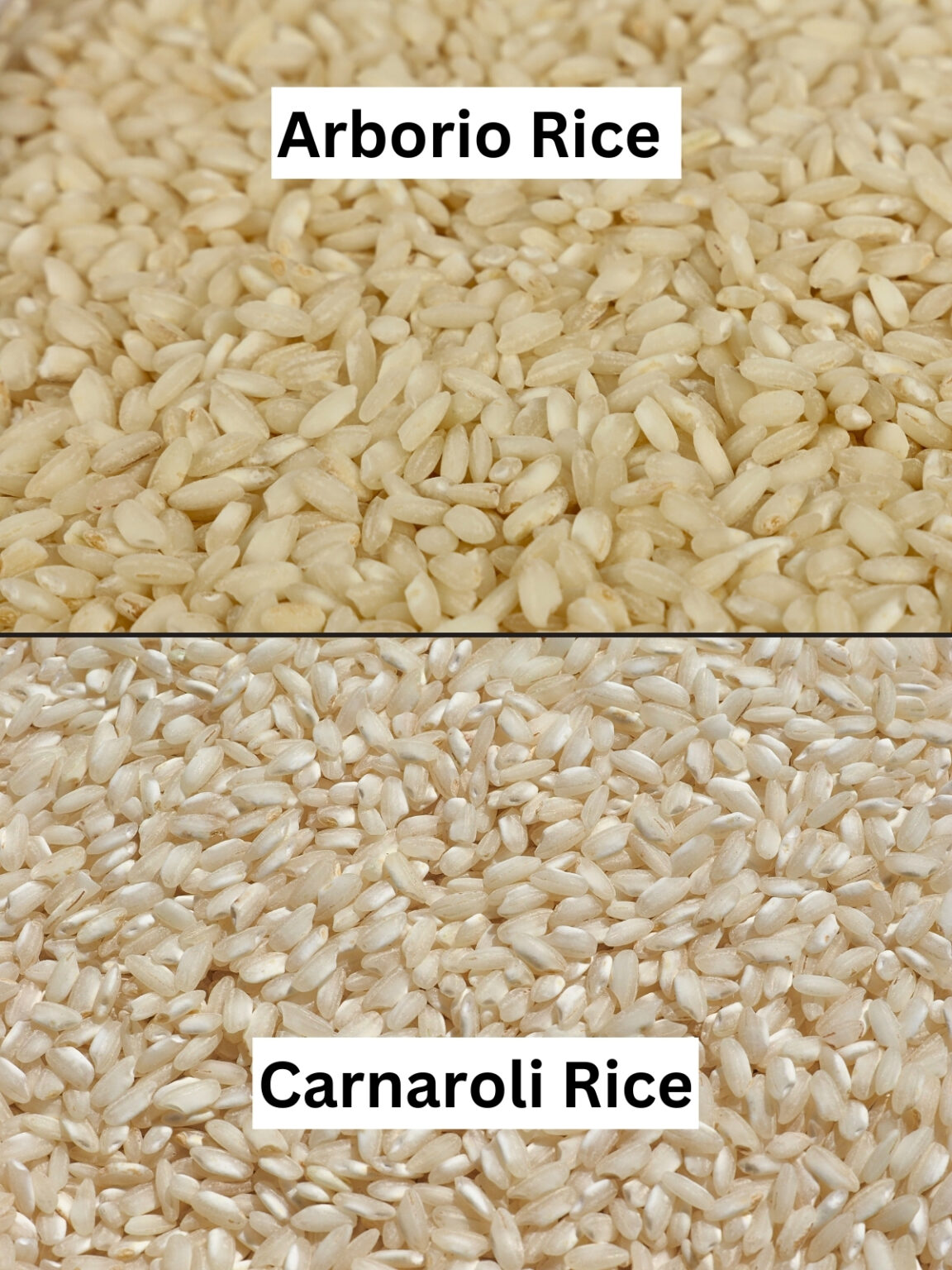 What Is Carnaroli Rice And How To Cook It The Perfect Rice rice-diagram