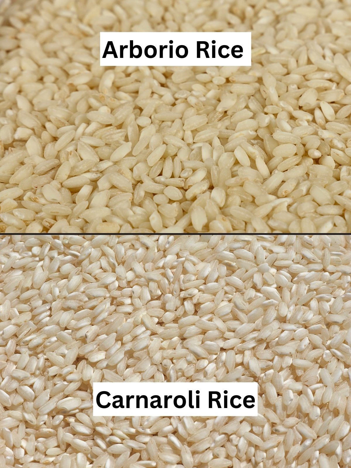 Raw Arborio rice in the top half of the picture, and raw Carnaroli rice in the bottom half.