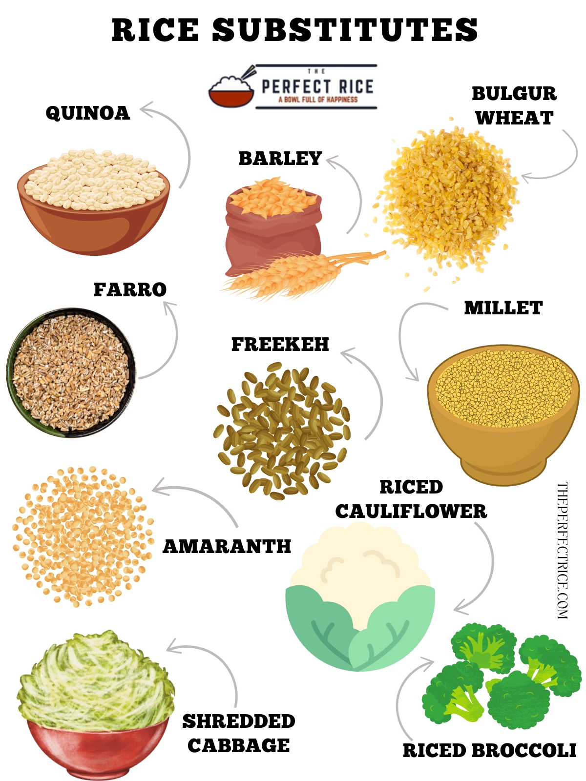 Rice Substitutes - Images of all alternatives in an Infographic form.